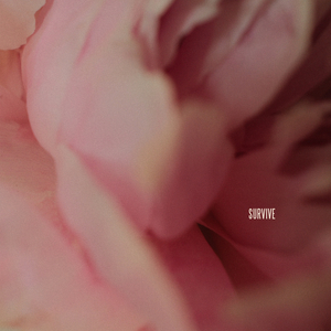 吃女朋友奶头时她奶头变硬了视频
